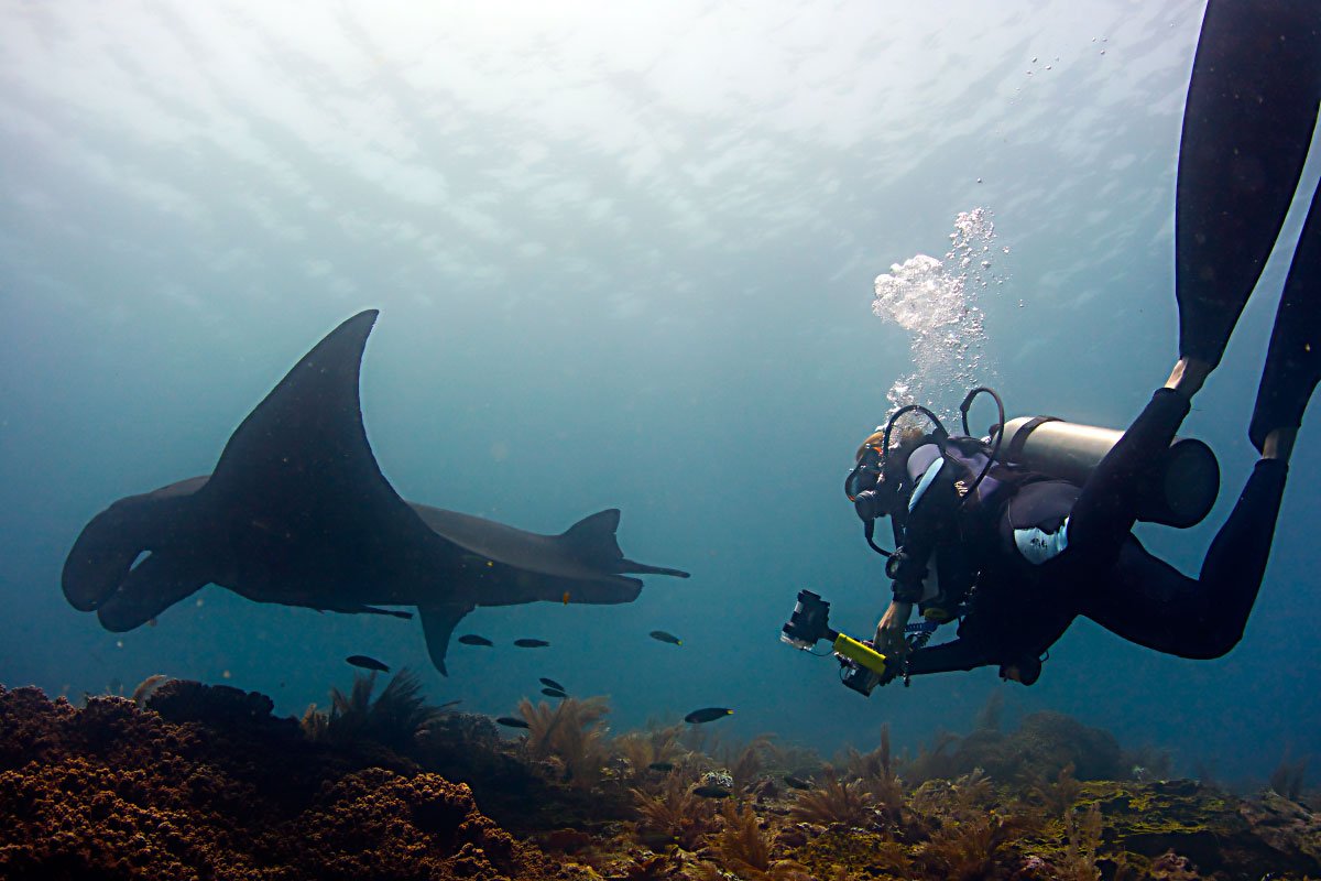 papua_explorers_underwater6